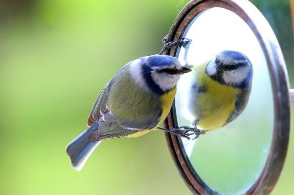 Однажды у Фета