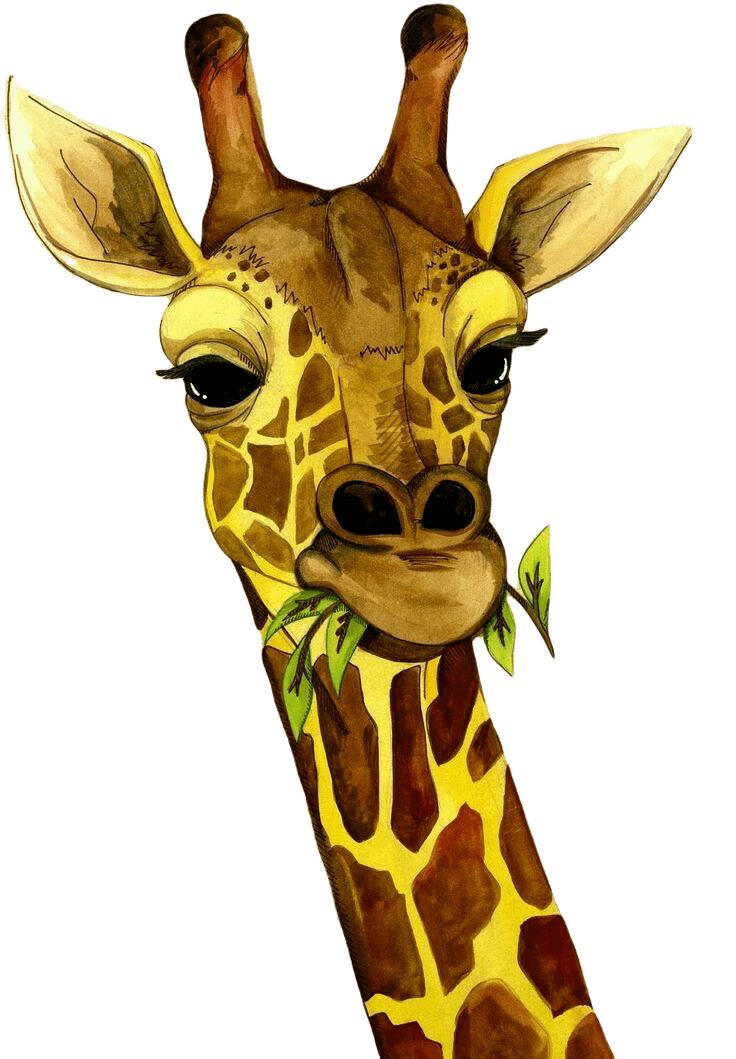 Жираф [Африка)