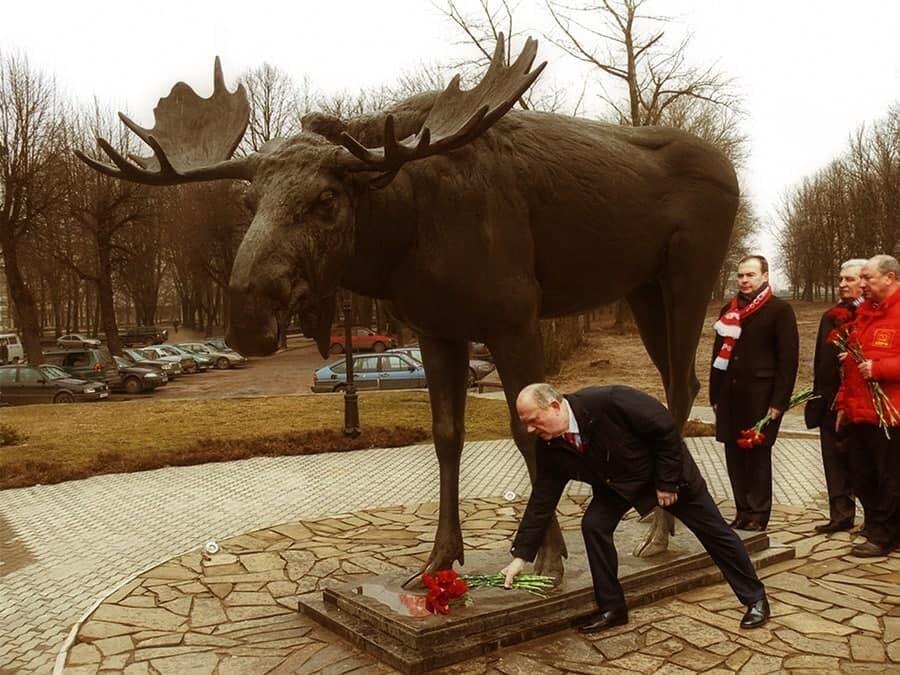 Прикольные картинки про лосей