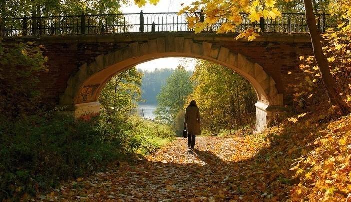 КОГДА ОКТЯБРЬ...