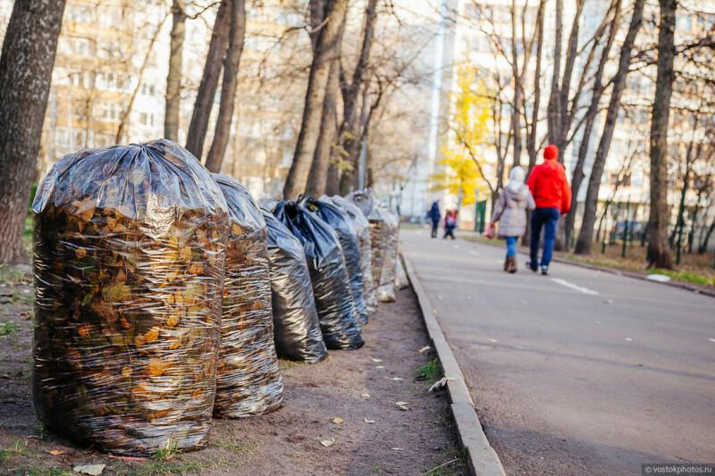 Тоскую по открытому огню