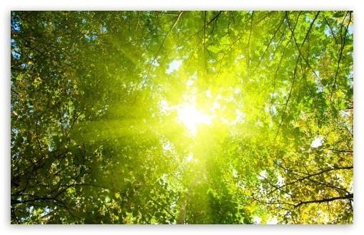 ЗДРАВСТВУЙ, СОЛНЦЕ!