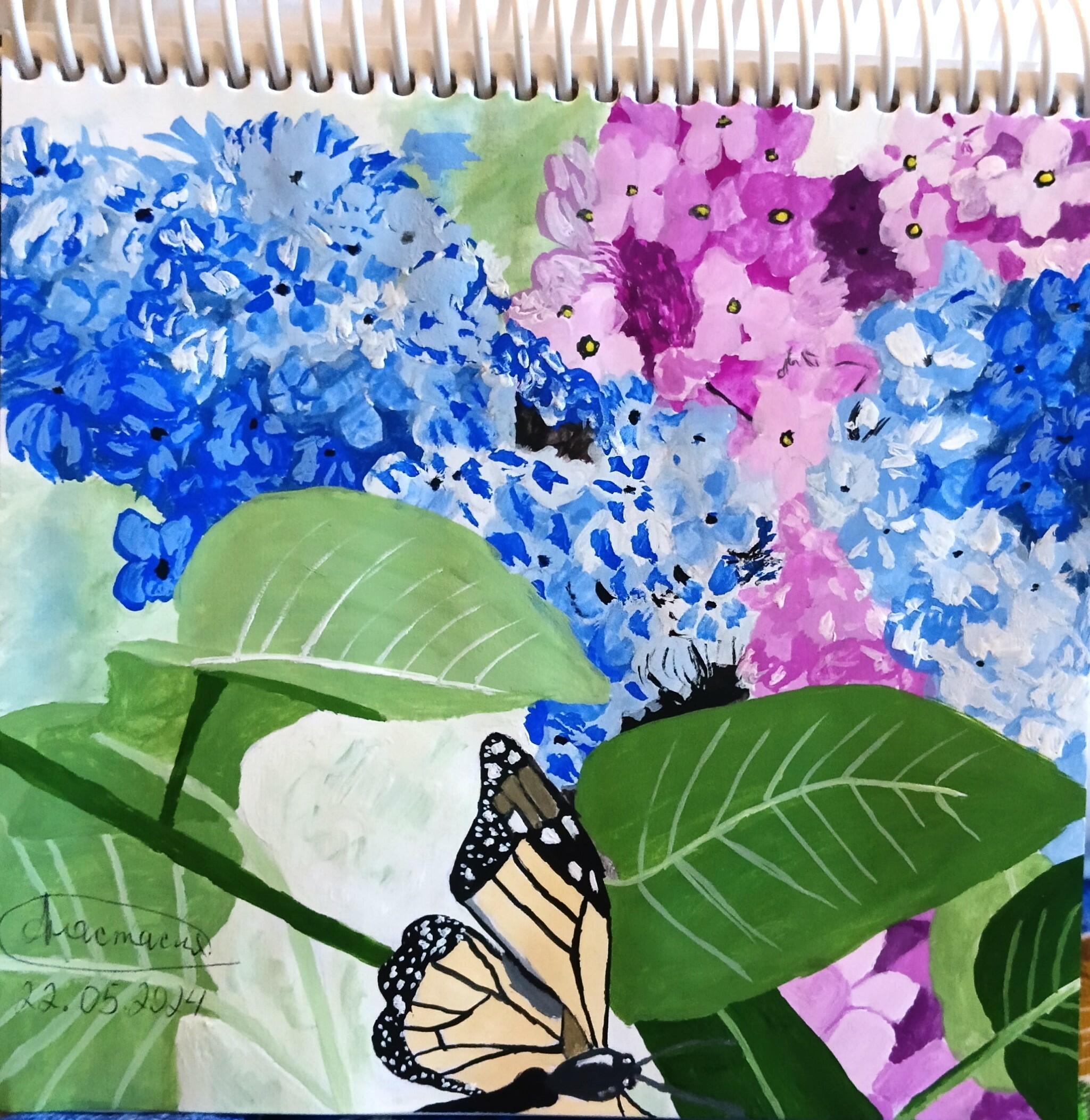 Куст сирени