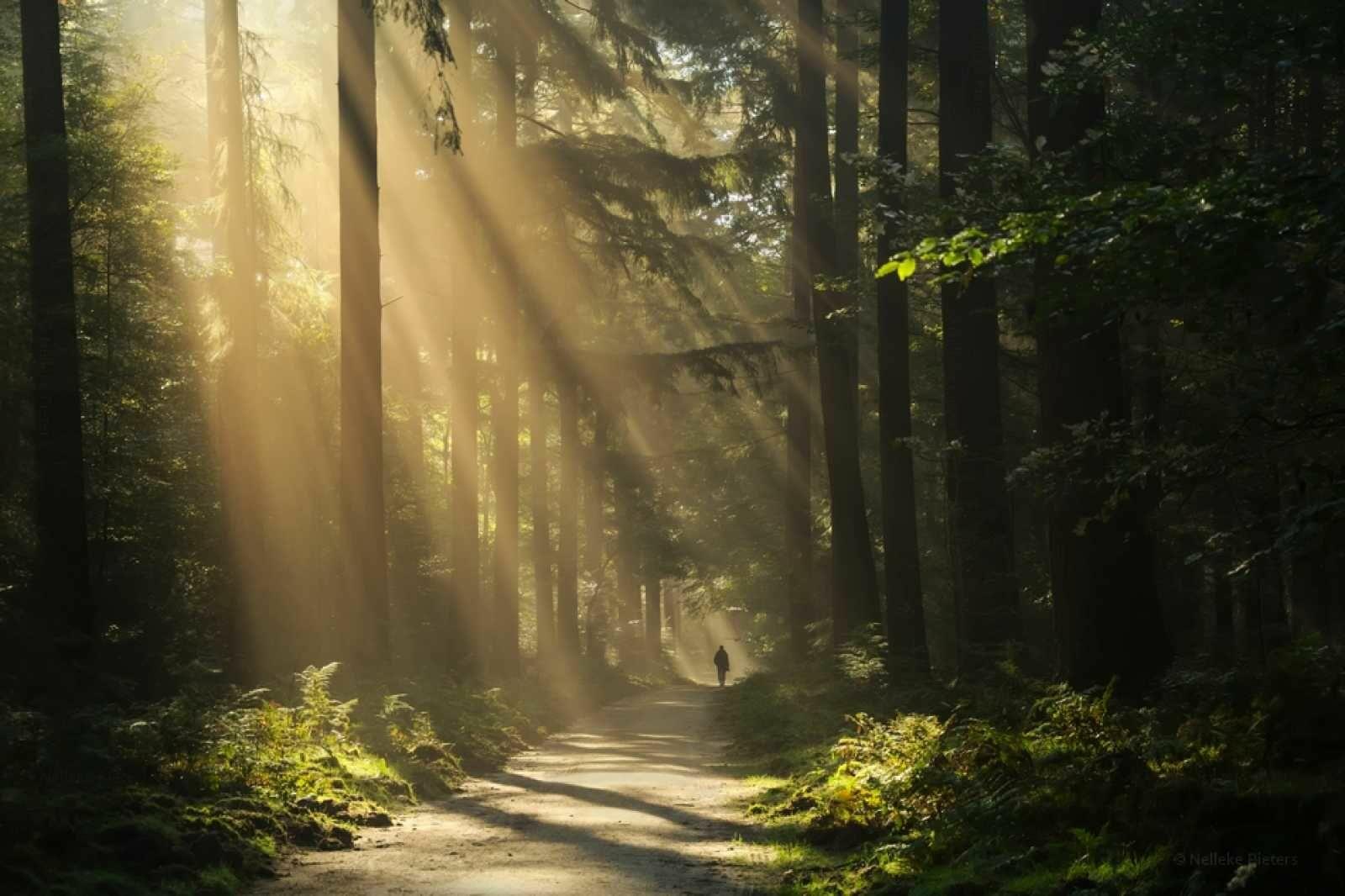 Я осмыслю прожитые годы