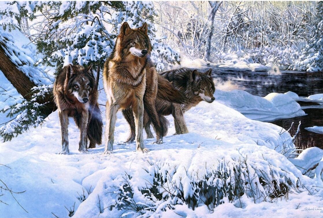 Трудно зимой всем зверятам