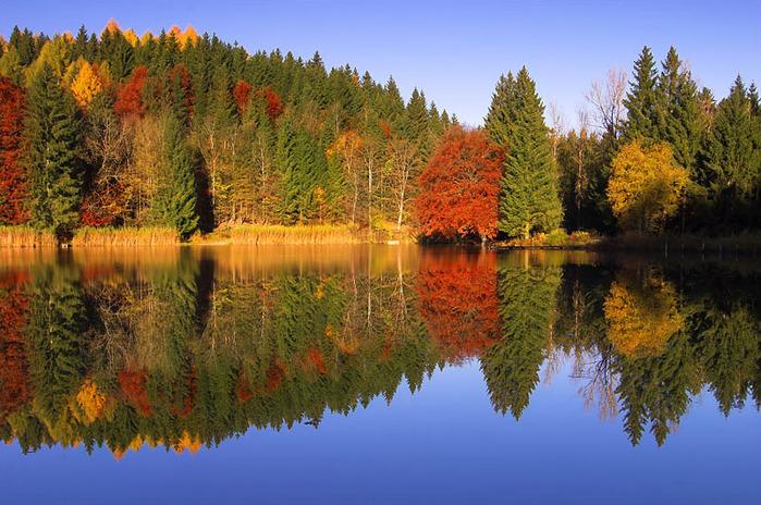 АХ, ДИВНАЯ ОСЕНЬ