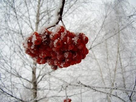 Туманная любовь