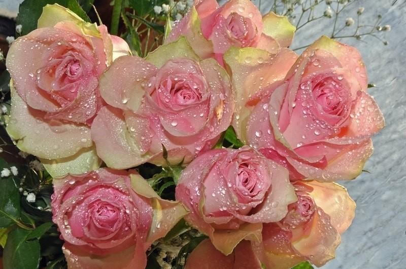 Любовь и Безумие (притча)