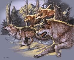 Волки и соловей  (Читает автор)