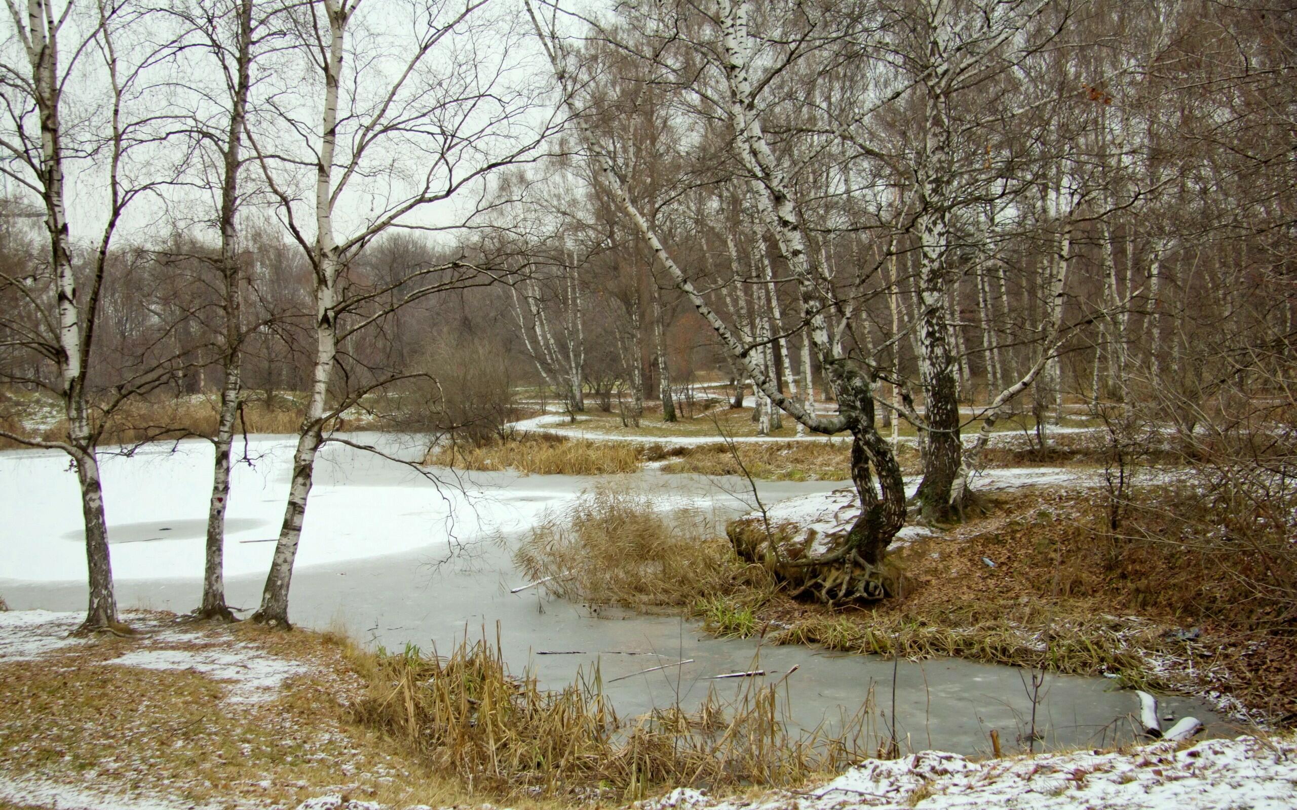 МАРТОВСКАЯ ТРАПЕЗА. АКРОСТИХИ 