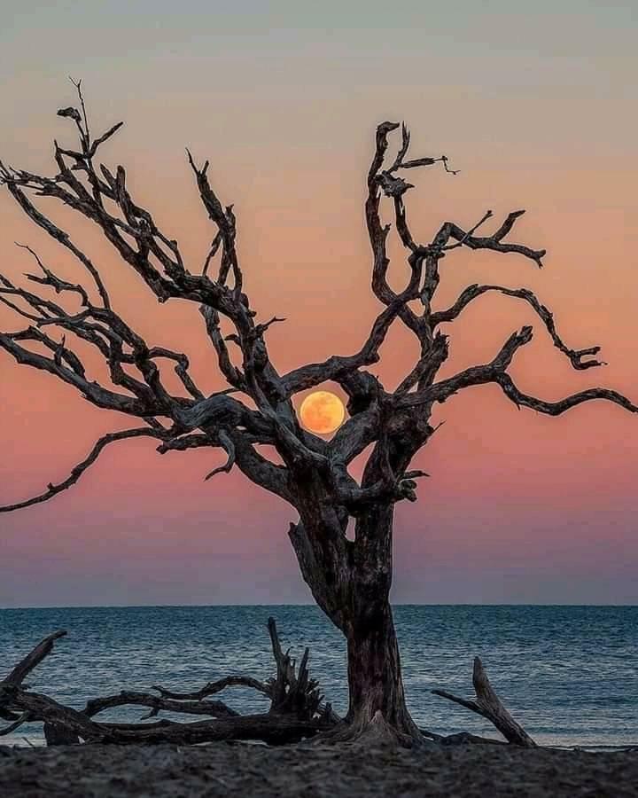 Колдун и Луна