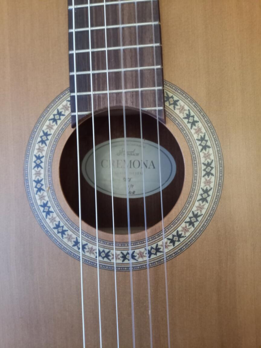 Наедине с Кремоной