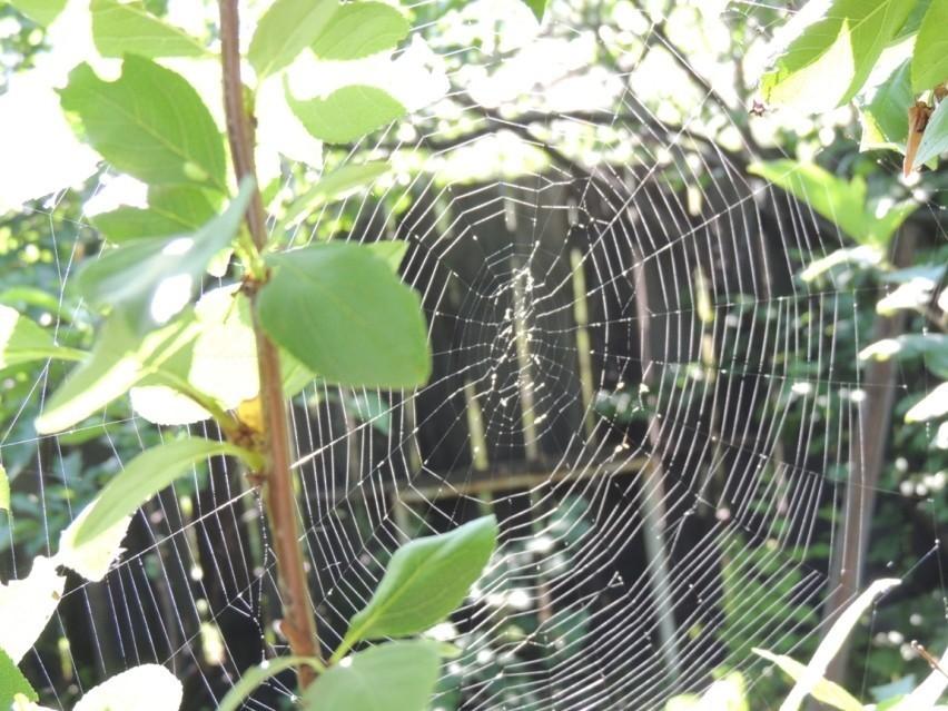 21.09.11 Живём пока.