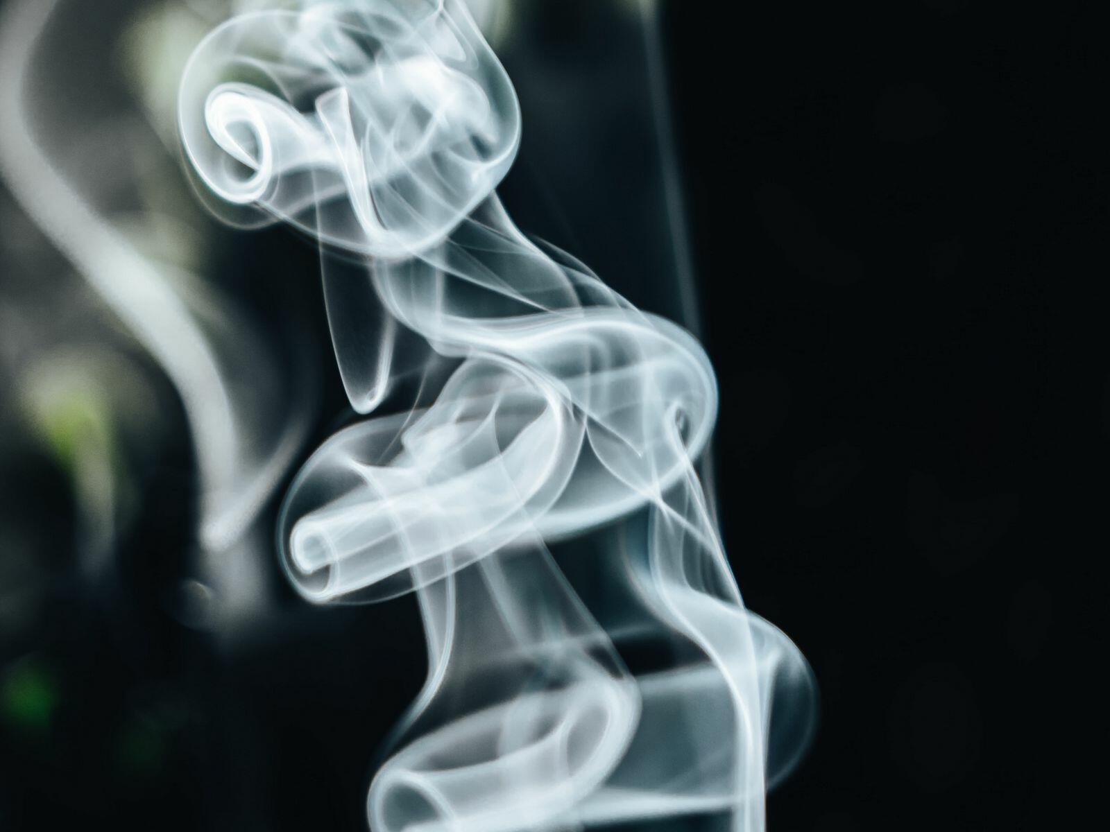 Ответ поэту - Медведь Белый - МЕЛАНХОЛИЯ