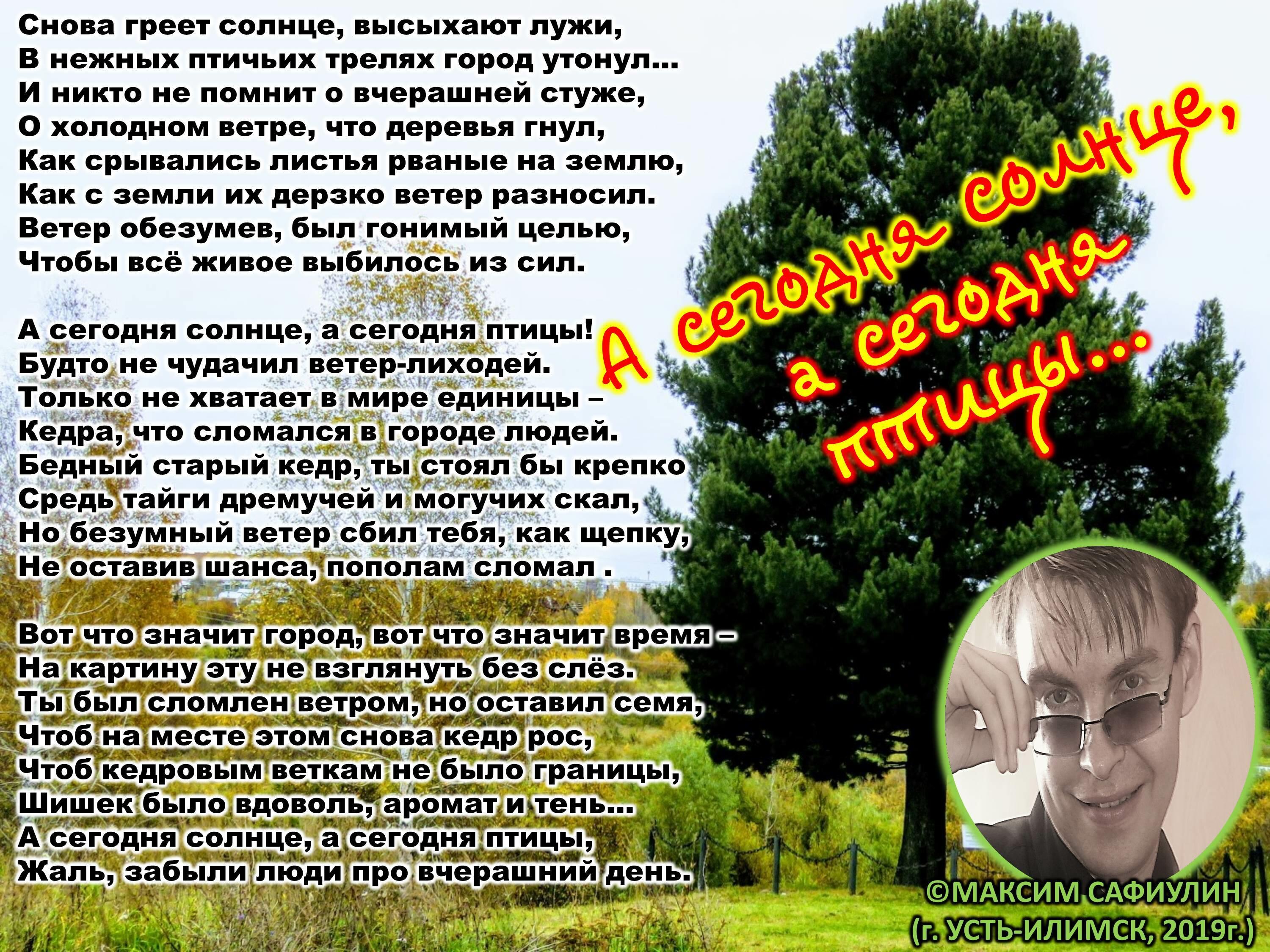 А сегодня солнце, а сегодня птицы...