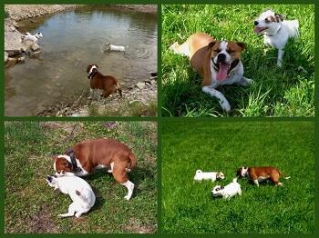 Мирон - шикарен, и девчонки это знают!