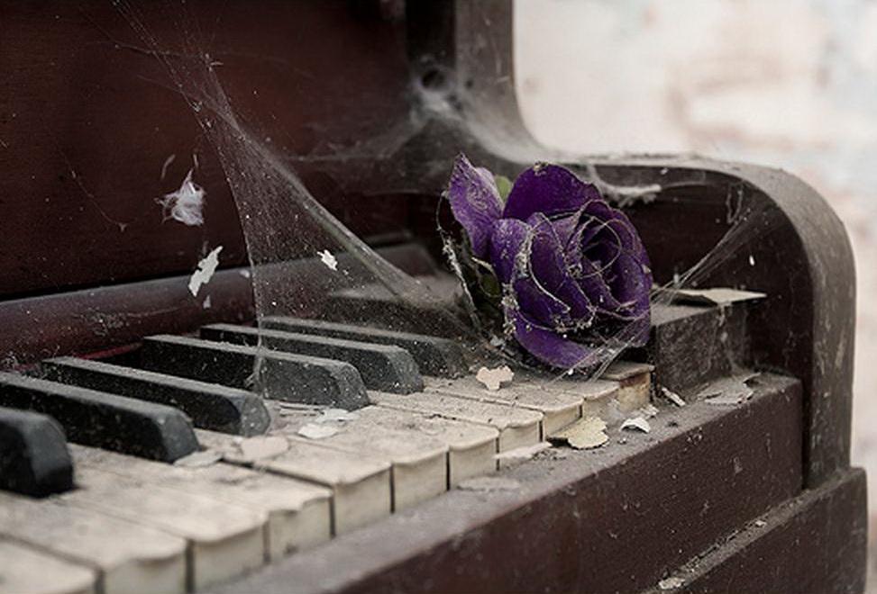 Одной, история, частички вечной