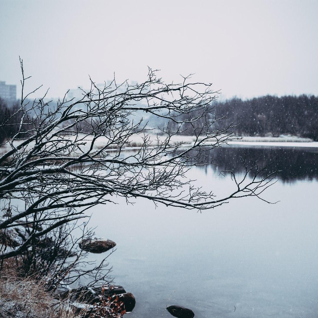 Когда осыпет землю лед.