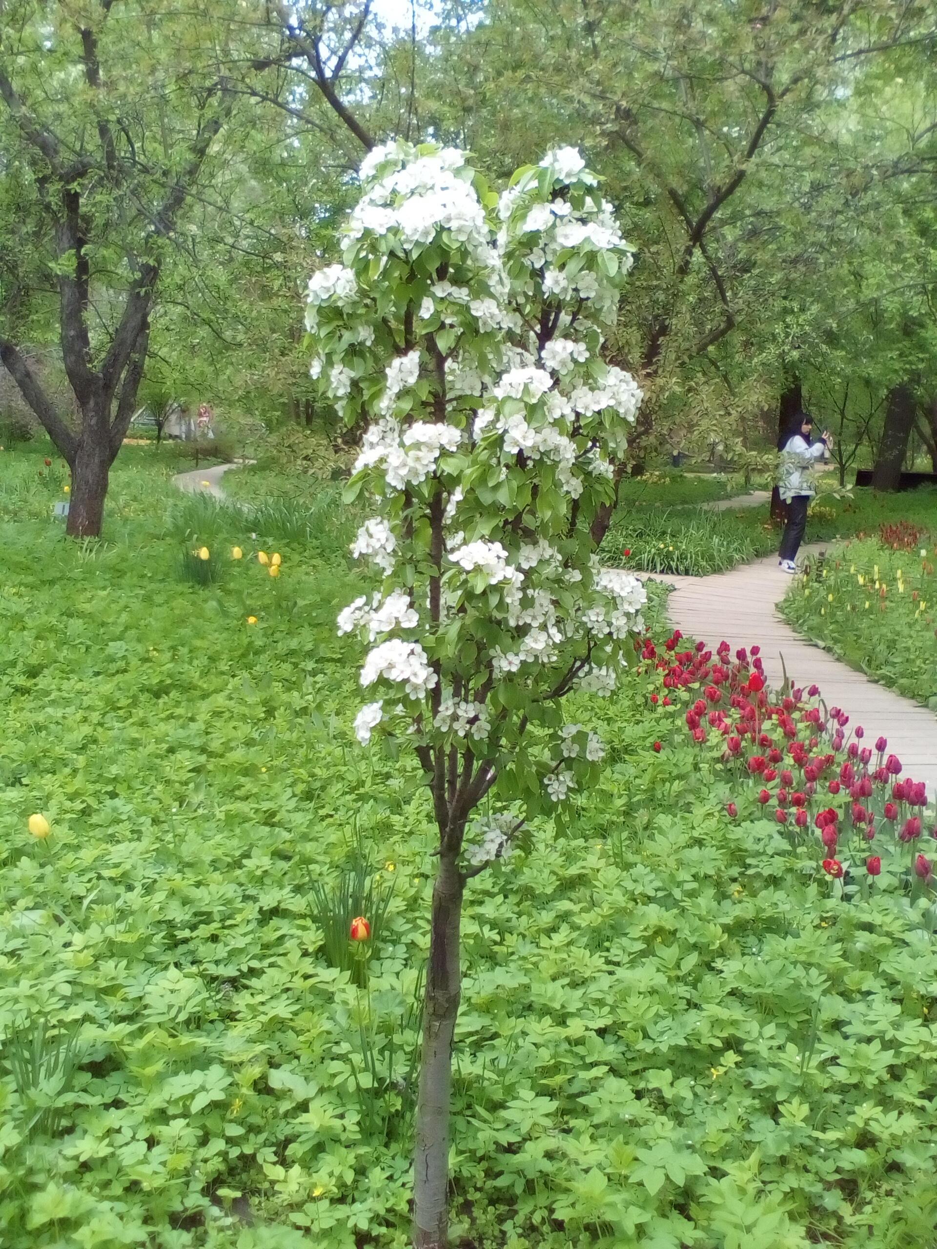 На весенней тропе