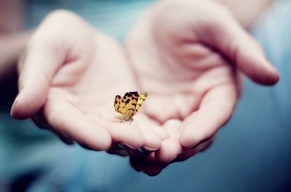 Наследие мое