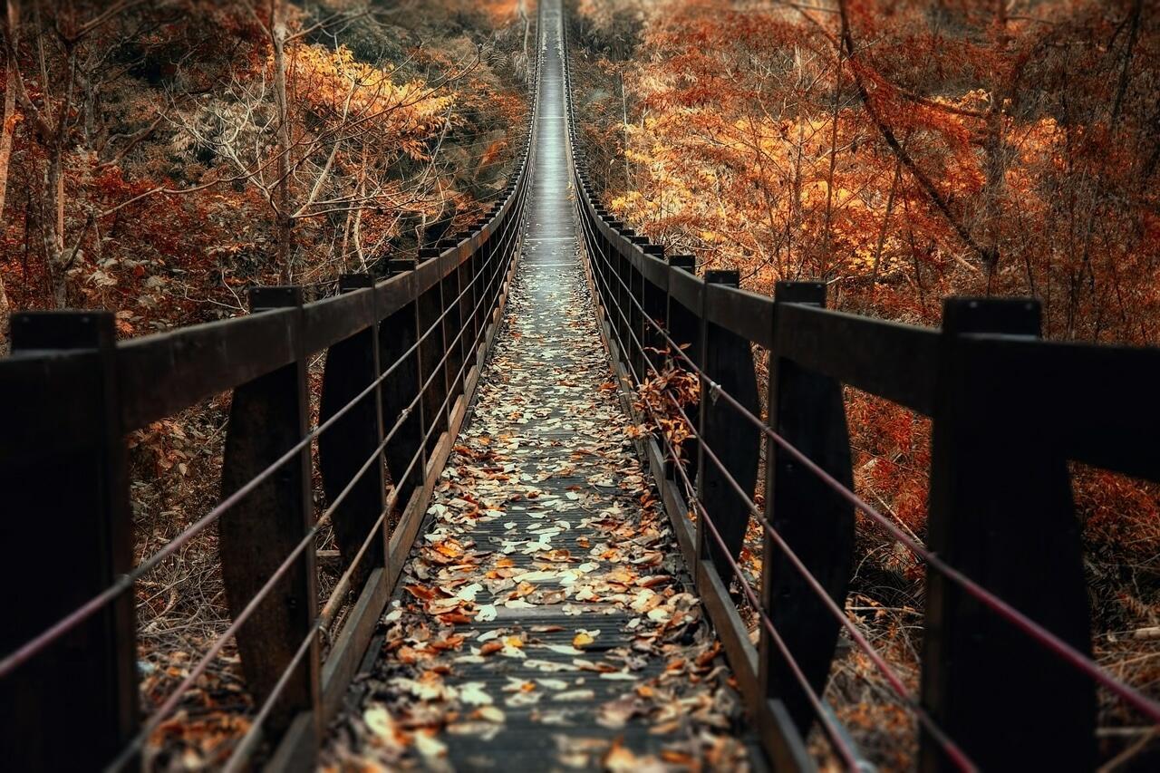 "Хмурая осень пришла..." (05.10.2019)