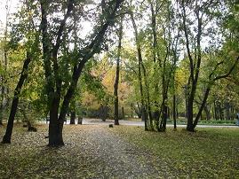 Размышления в парке Расторгуевского дворца