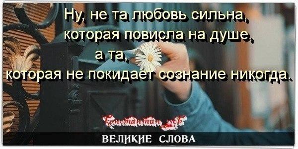 ЭХО БЫЛОЙ ЛЮБВИ...