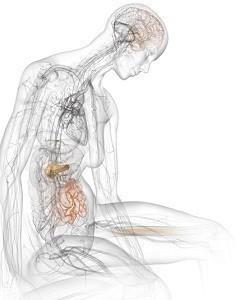Природы видим мы круговорот