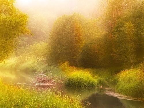 Дорога длиною в осень...