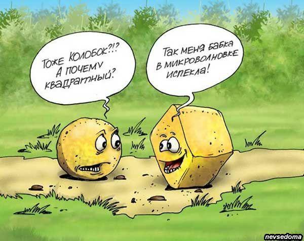 Душевные  волнения  Колобка