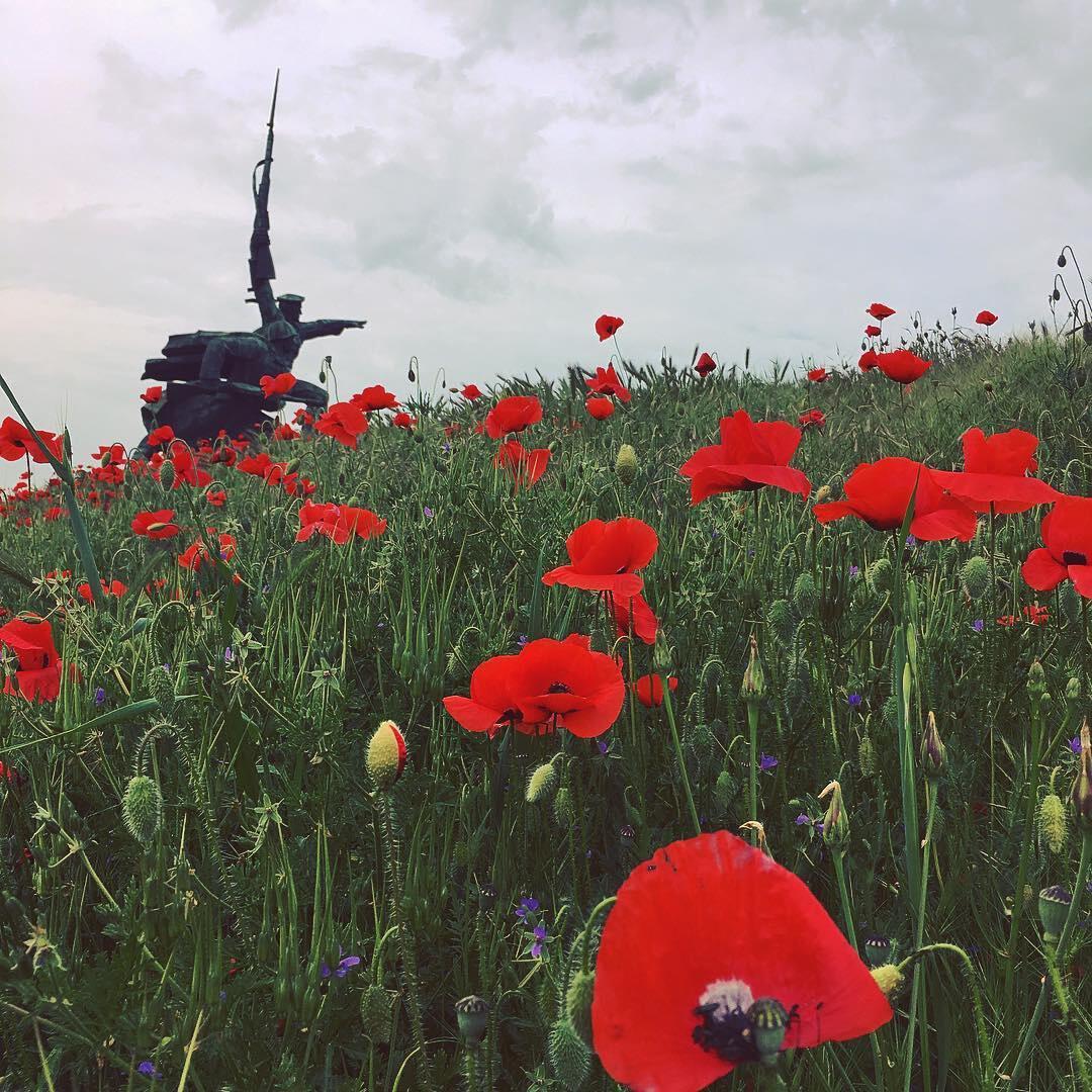 НАШИ ДУШИ ЛЕТЯТ ЗА ПАРАДОМ