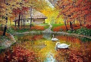 Золотая Осень - желтая листва!