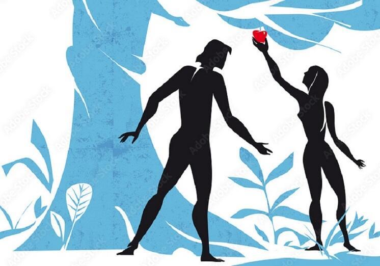 Адамово ребро