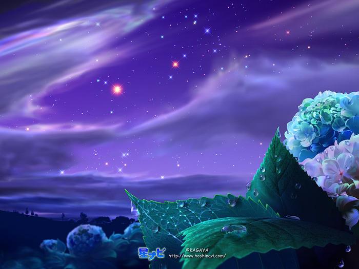 Мир  (чахон -тадж )