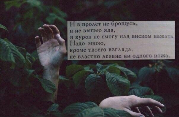 идеальный мужчина.