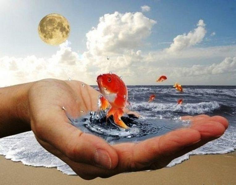 Ведь другую не найду...