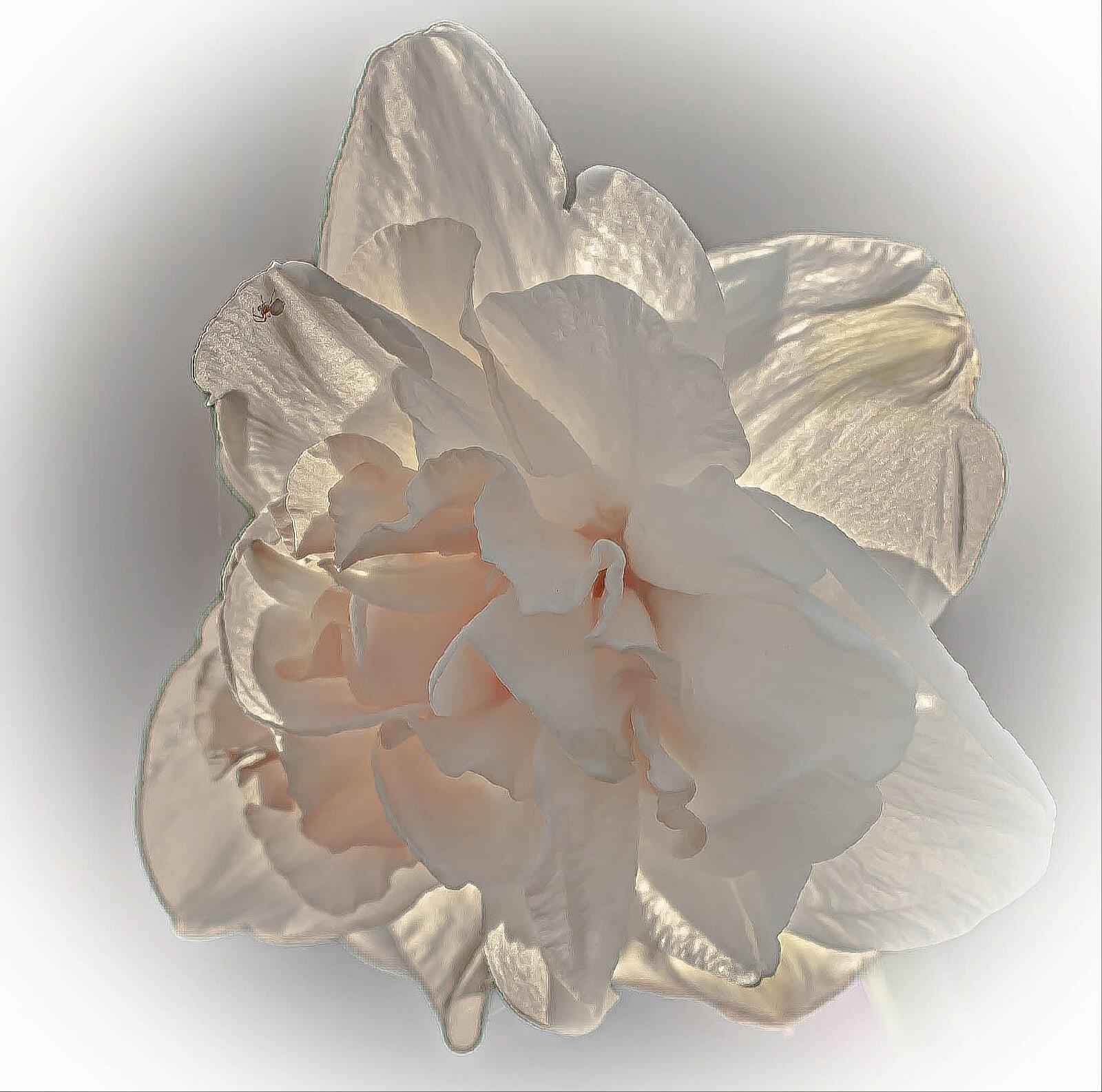 о тонкость полноты...