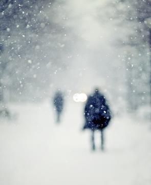 СНОВА В ГОРОДЕ СНЕГ