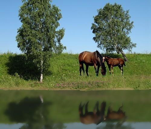 В ночном. На стихи Сергея Есенина.