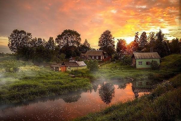 Сверчок поёт мне каждый летний вечер