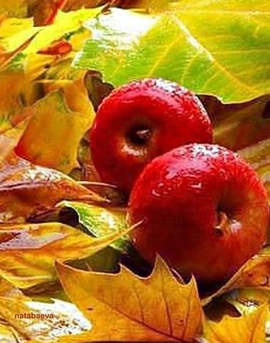 Уж отсмеялся нам сентябрь плодами... (на украинском языке)