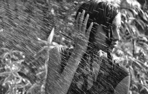 Ласковый дождик.