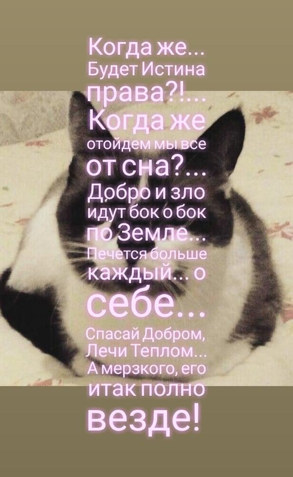 ⚫О, если б знали, сколько в них души⚫