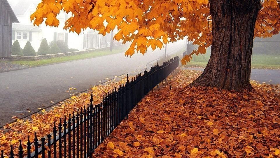 Сбор снарядов