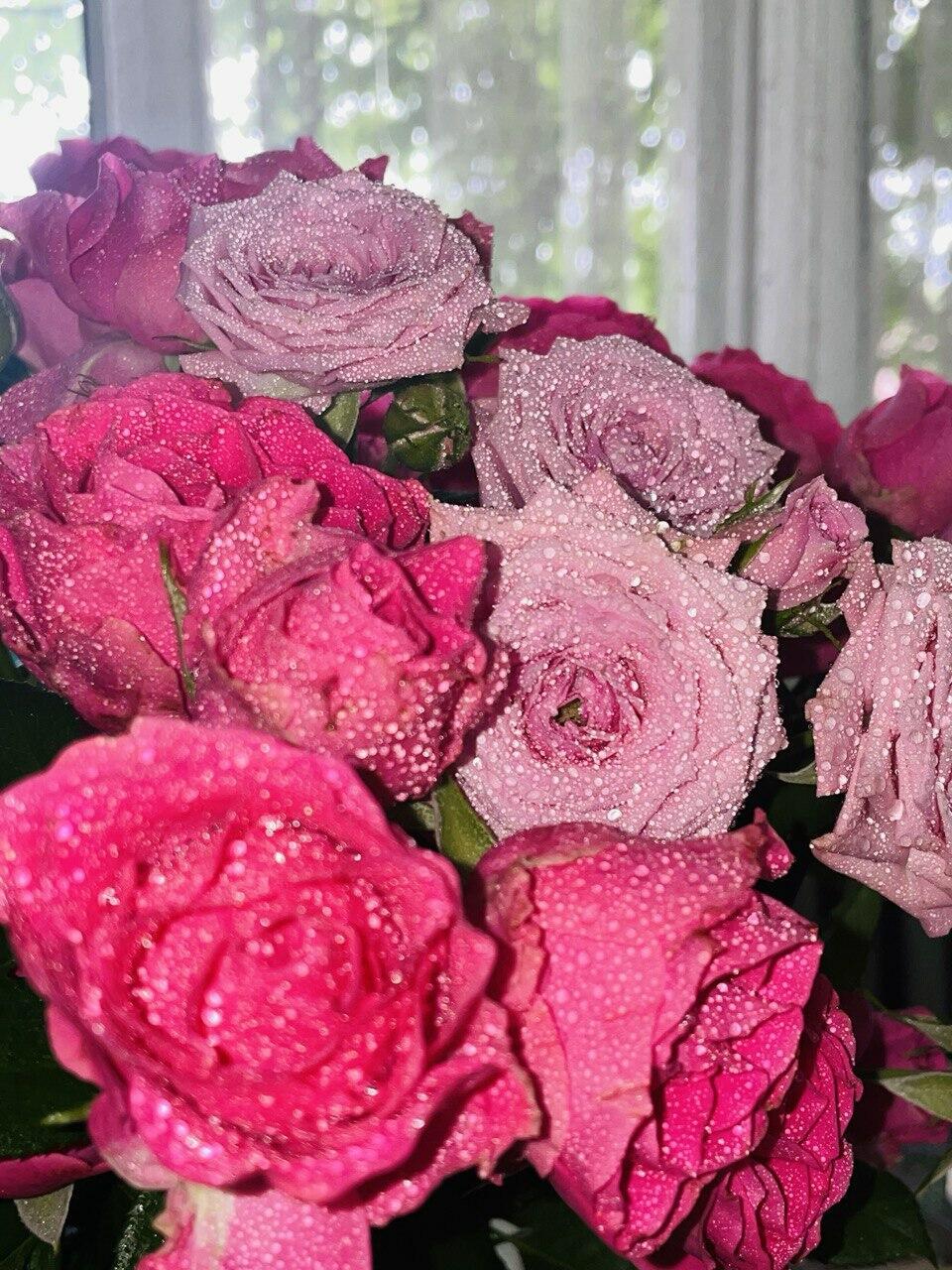 Говорить о любви, признаваться приятно