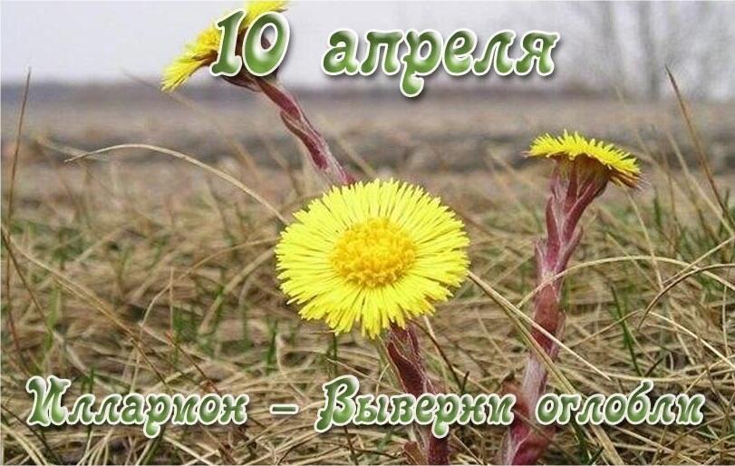 10 апреля - ИЛЛАРИОН