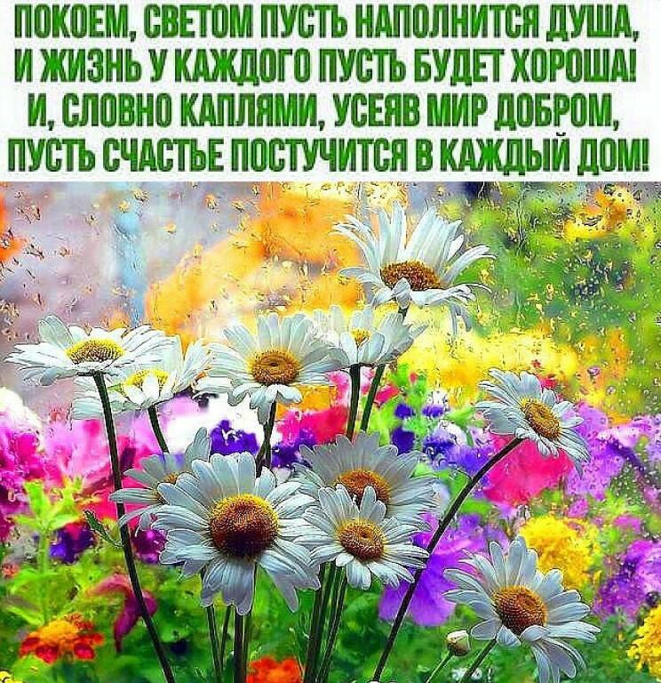 Жизнь хороша, твори не ной от 21. 02. 2014