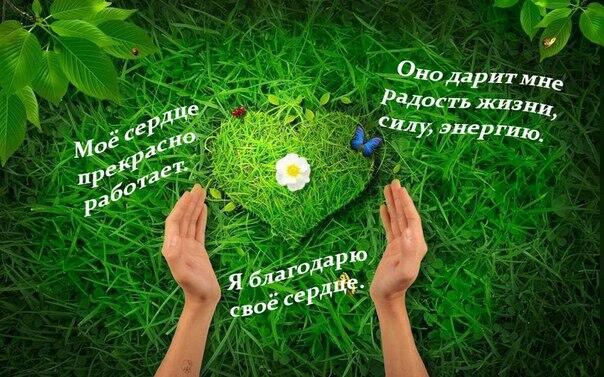 Сердце не просит покоя