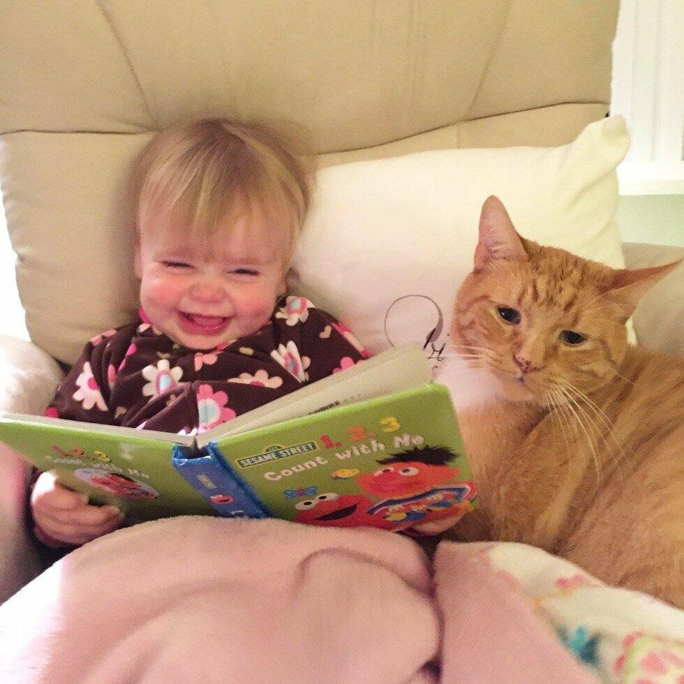 СОБОЮ  КНИГА  УВЛЕКАЕТ