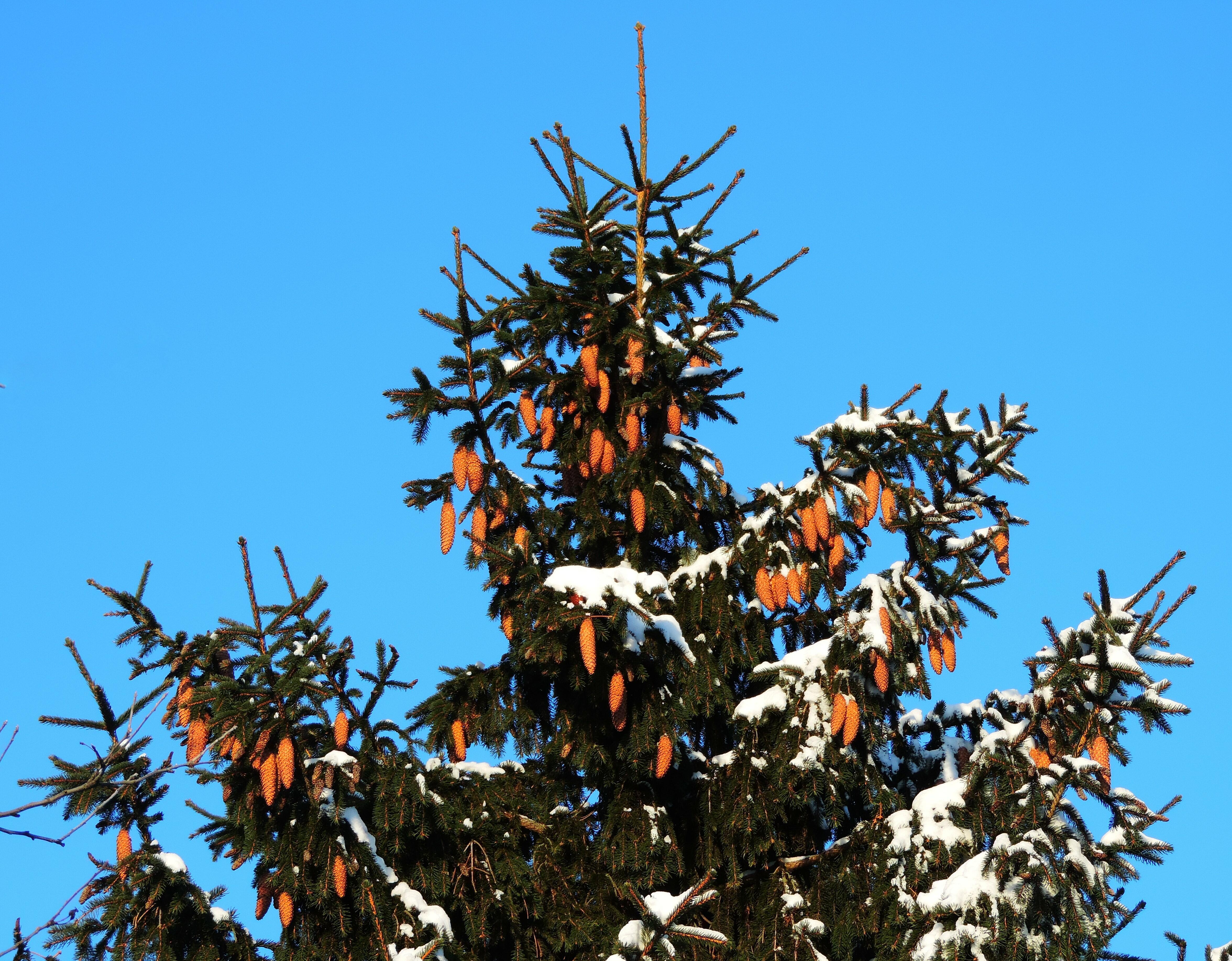 01.02.21. Февраль